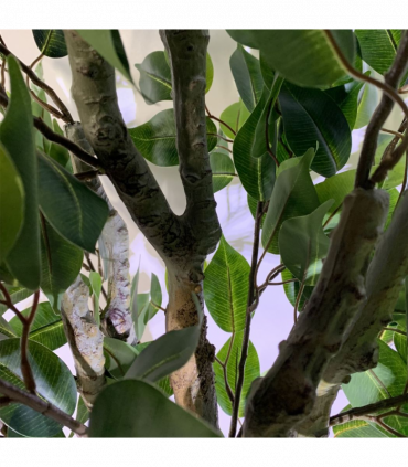 100cm Premium Artificial Ficus Twist Tree Multicolour Planter