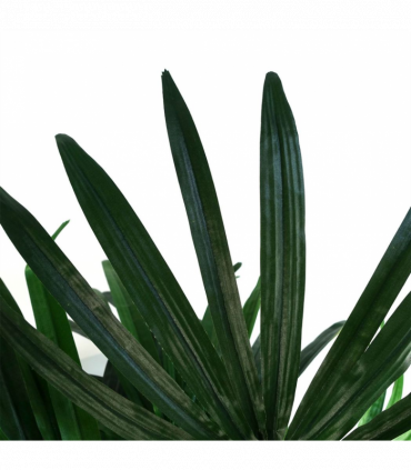 100cm Raphis Palm Artificial Tree