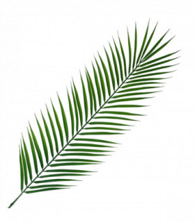 Artificial Palm Leaf Green Wired Stem 100cm Realistic Flower Arrangement