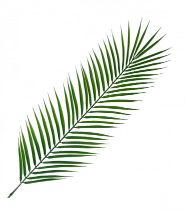Artificial Palm Leaf Green Wired Stem 100cm Realistic Flower Arrangement