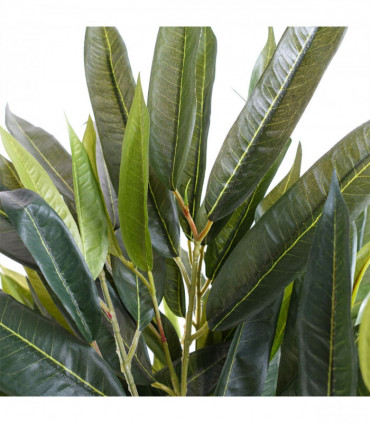 100cm Realistic Artificial Tree Longifolia Ficus Natural Trunk