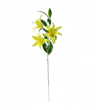 Vases