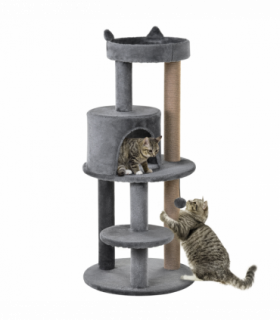 Cat Activity Tree