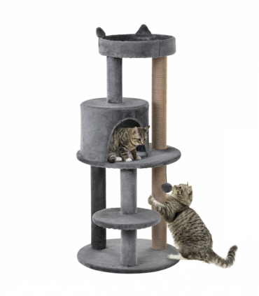 Cat Activity Tree