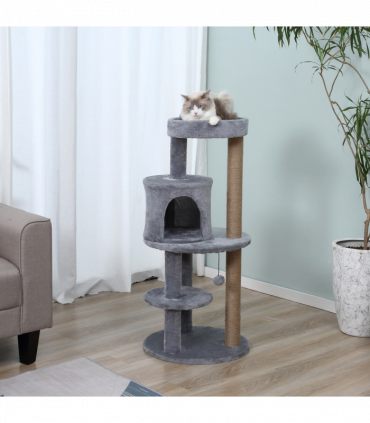 Cat Activity Tree