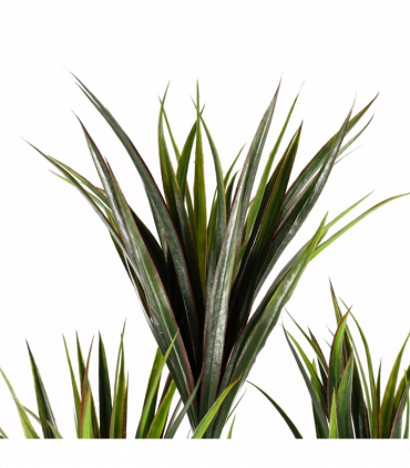 105cm UV Resistant Yucca Tree with 179 Leaves