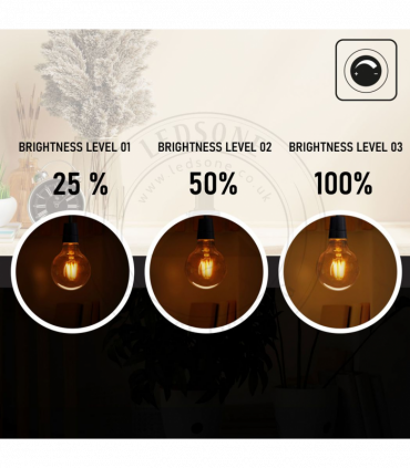 LED Dimmable Bulb G95 E27 4W 2700K Amber Glass Metal Vintage Light Bulbs 10Pack