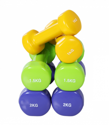 10kg Colourful Dumbbell Weights Set Home Exercising Toning w/ Case Gym HOMCOM