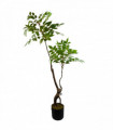 110cm Artificial Toona Sinensis Tree Evergreen
