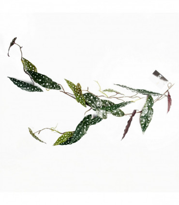 110cm Artificial Trailing Hanging Begonia Maculata Spotted Plant Realistic