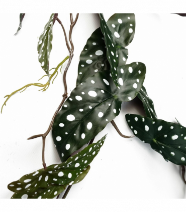 110cm Artificial Trailing Hanging Begonia Maculata Spotted Plant Realistic