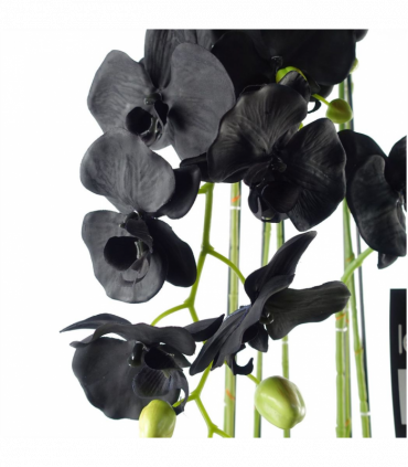 110cm Large Black Orchid Plant Artifcial 41 REAL TOUCH flowers