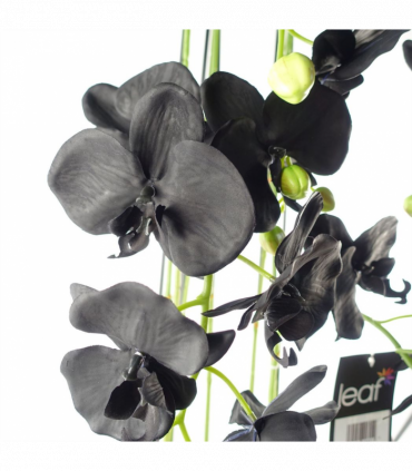 110cm Large Black Orchid Plant Artifcial 41 REAL TOUCH flowers
