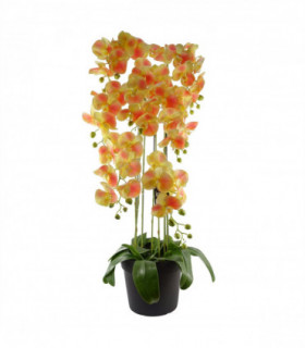 110cm Large Yellow Peach Orchid Plant - Artifcial - 41 REAL TOUCH flowers