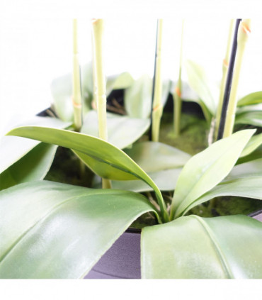 110cm Large Yellow Peach Orchid Plant - Artifcial - 41 REAL TOUCH flowers