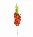 115cm Artificial Orange Gladioli Stem