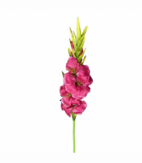 115cm Artificial Pink Gladioli Stem