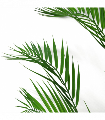 Artificial Palm Tree