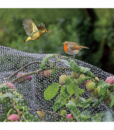 12 x Anti Bird Garden Netting Pond Net Protection Plants Veg Crops Fruit Fine Mesh 2M X 10M