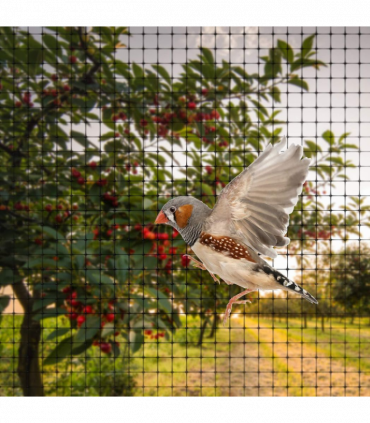 12 x Anti Bird Garden Netting Pond Net Protection Plants Veg Crops Fruit Fine Mesh 2M X 10M