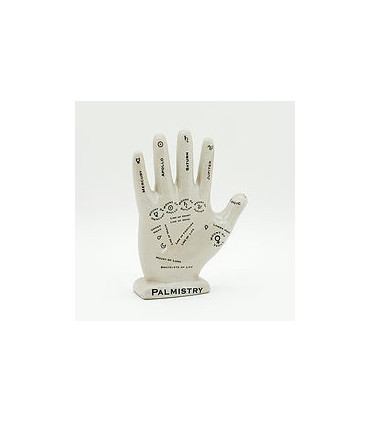 12" PALMESTRY HAND