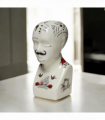 12" PHRENOLOGY HEAD