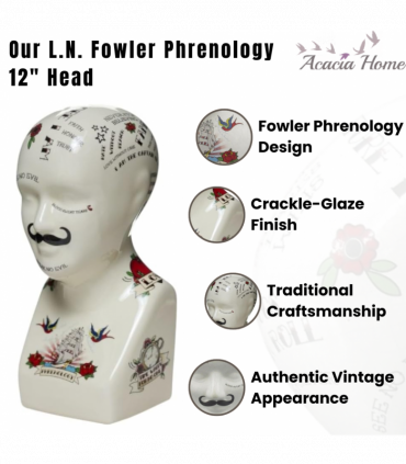 12" PHRENOLOGY HEAD
