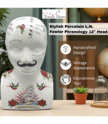 12" PHRENOLOGY HEAD
