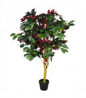 120cm (4ft) Artificial Capensia Tree Ficus Plant - Extra Large