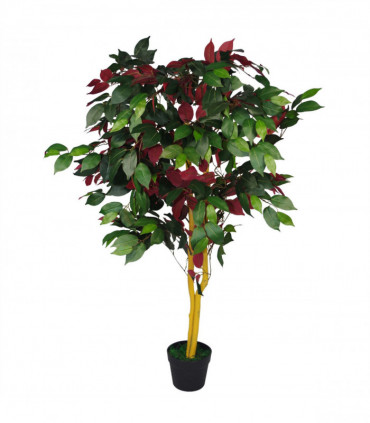 120cm (4ft) Artificial Capensia Tree Ficus Plant - Extra Large