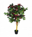 120cm (4ft) Artificial Capensia Tree Ficus Plant - Extra Large