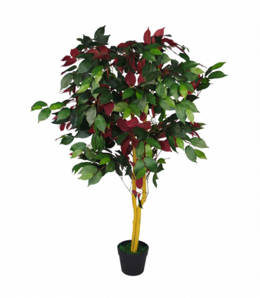 120cm (4ft) Artificial Capensia Tree Ficus Plant - Extra Large