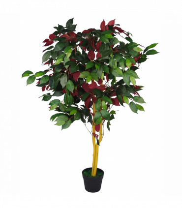 120cm (4ft) Artificial Capensia Tree Ficus Plant - Extra Large