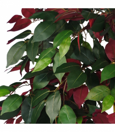 120cm (4ft) Artificial Capensia Tree Ficus Plant - Extra Large