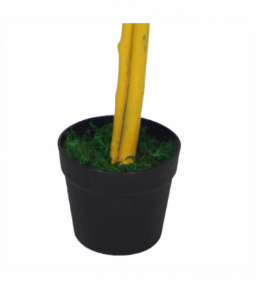 120cm (4ft) Artificial Capensia Tree Ficus Plant - Extra Large