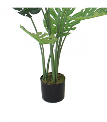 120cm (4ft) Luxury Monstera Plant Black Pot
