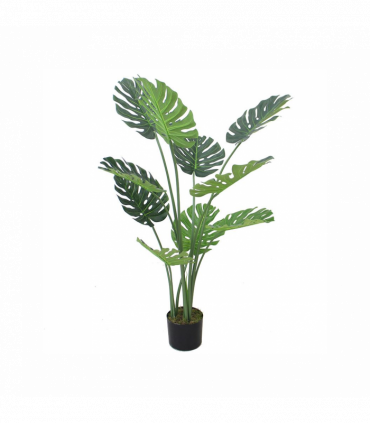 120cm (4ft) Luxury Monstera Plant Black Pot