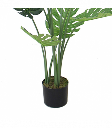 120cm (4ft) Luxury Monstera Plant Black Pot