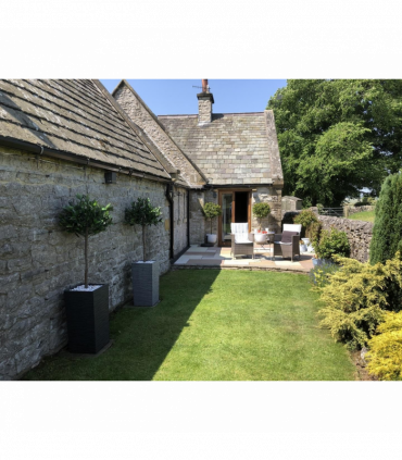 120cm (4ft) Plain Natural Trunk Artificial Topiary Bay Laurel Ball Tree