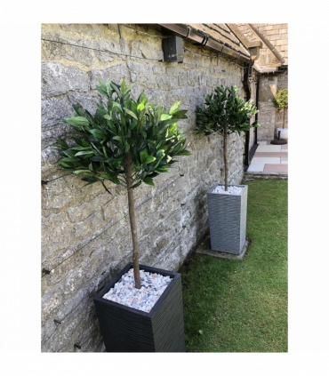 120cm (4ft) Plain Natural Trunk Artificial Topiary Bay Laurel Ball Tree