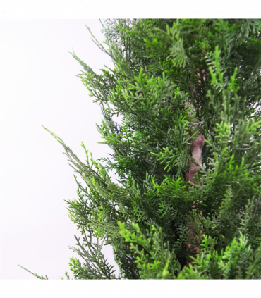 120cm Artificial Cypress Topiary