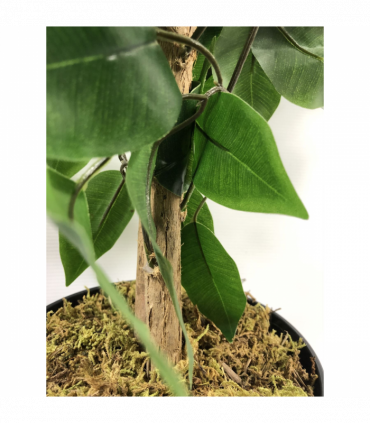 120cm Artificial Ficus Tree / Plant - Large Bushy Shape Gold Metal Planter