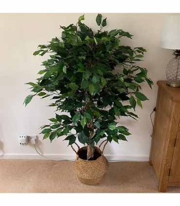 120cm Artificial Ficus Tree / Plant - Large Bushy Shape Gold Metal Planter