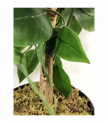 120cm Artificial Ficus Tree and Plant Large Bushy Shape
