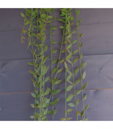 Artificial Hanging Extra Long String of Pearls Plant Plastic Green 120cm