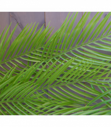 120cm Artificial Hanging Palm Leaf Plant