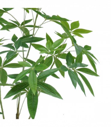 120cm Artificial Money Plant Pachira Realistic Faux Tree