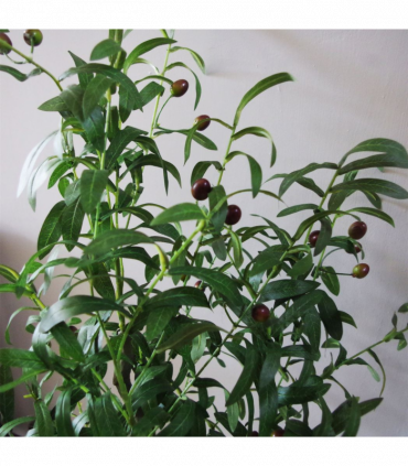 120cm Artificial Olive Tree Natural Style