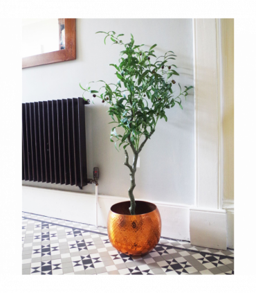 120cm Artificial Olive Tree Natural Style