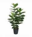 120cm Artificial Rubber Tree